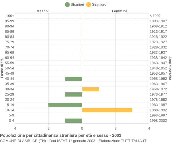 Grafico cittadini stranieri - Amblar 2003