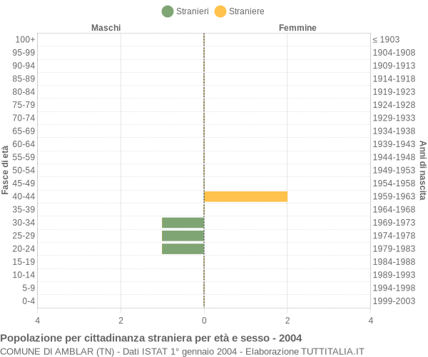 Grafico cittadini stranieri - Amblar 2004