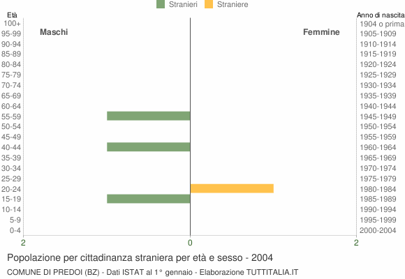 Grafico cittadini stranieri - Predoi 2004