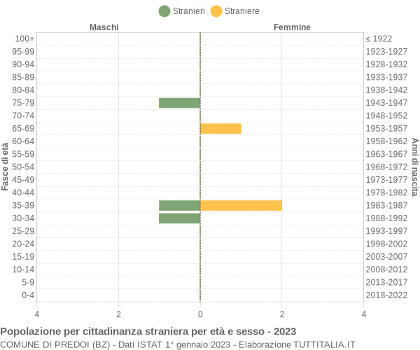 Grafico cittadini stranieri - Predoi 2023