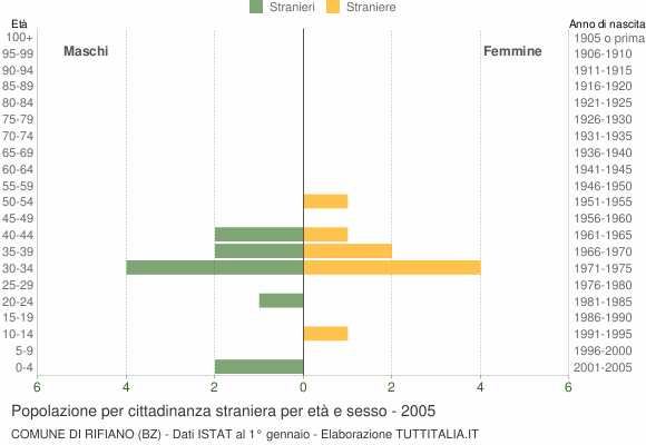 Grafico cittadini stranieri - Rifiano 2005
