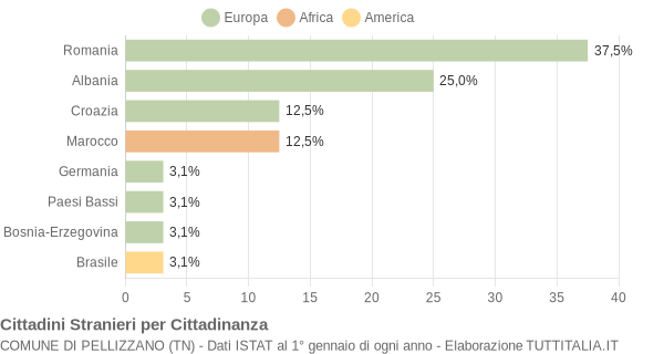 Grafico cittadinanza stranieri - Pellizzano 2004