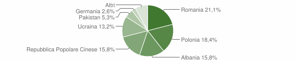 Grafico cittadinanza stranieri - Samone 2014