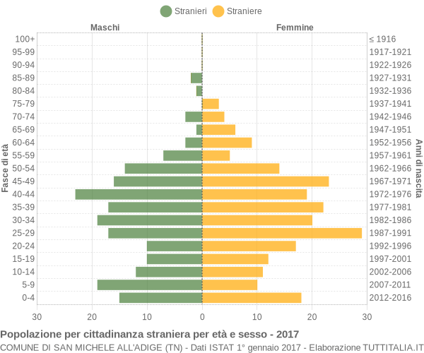 Grafico cittadini stranieri - San Michele all'Adige 2017