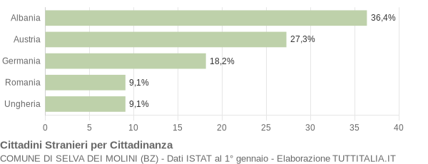 Grafico cittadinanza stranieri - Selva dei Molini 2008