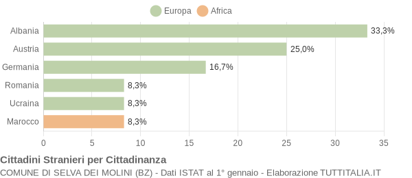 Grafico cittadinanza stranieri - Selva dei Molini 2010