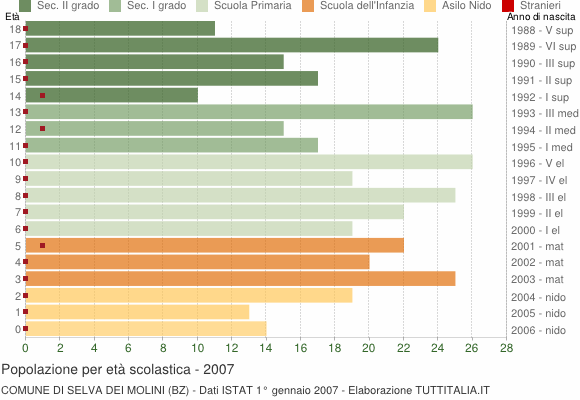 Grafico Popolazione in età scolastica - Selva dei Molini 2007