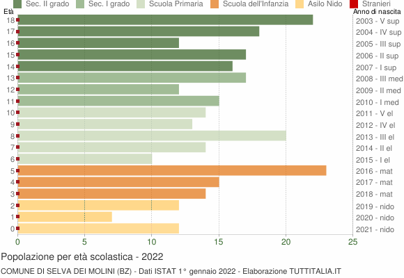 Grafico Popolazione in età scolastica - Selva dei Molini 2022