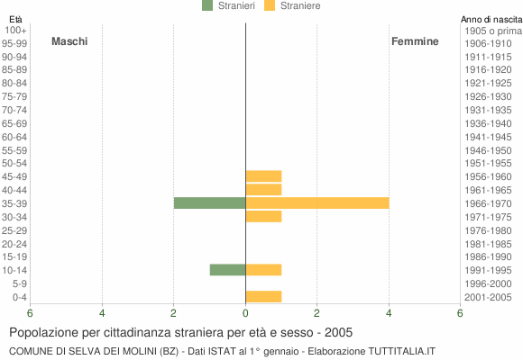 Grafico cittadini stranieri - Selva dei Molini 2005