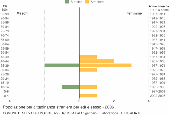 Grafico cittadini stranieri - Selva dei Molini 2006