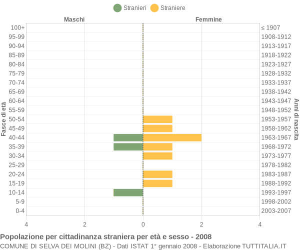 Grafico cittadini stranieri - Selva dei Molini 2008