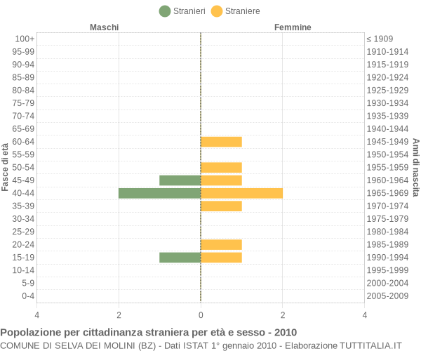 Grafico cittadini stranieri - Selva dei Molini 2010