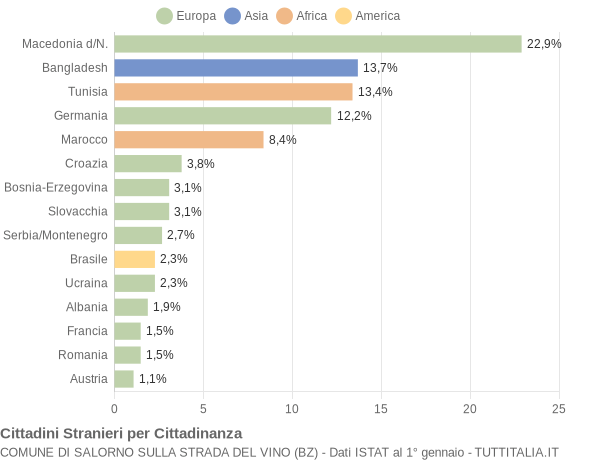 Grafico cittadinanza stranieri - Salorno sulla strada del vino 2004