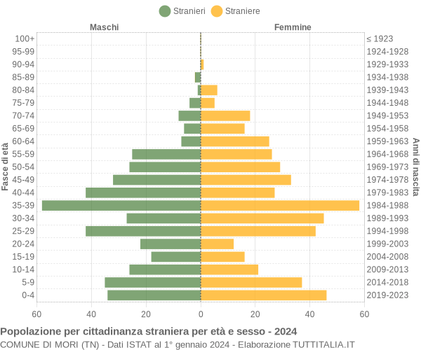 Grafico cittadini stranieri - Mori 2024