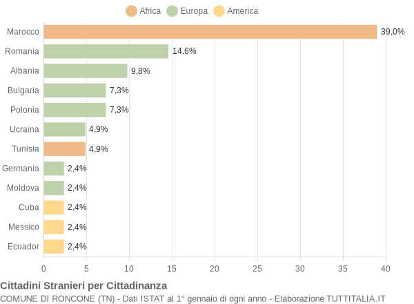 Grafico cittadinanza stranieri - Roncone 2013