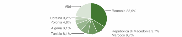 Grafico cittadinanza stranieri - Trambileno 2010