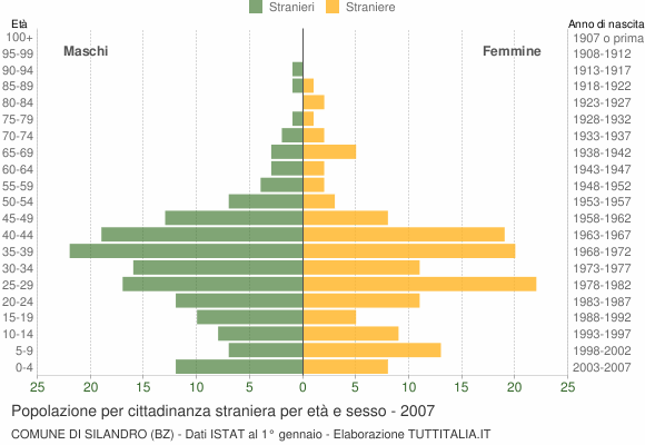 Grafico cittadini stranieri - Silandro 2007