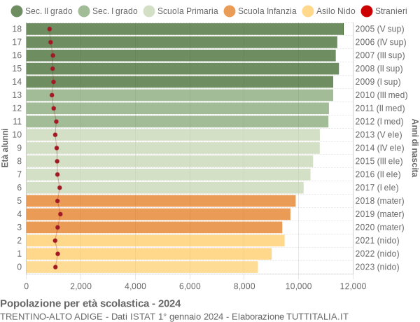 Grafico Popolazione in età scolastica - 2024