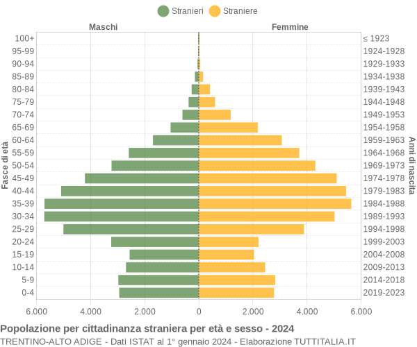 Grafico cittadini stranieri - 2024