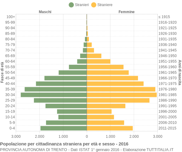 Grafico cittadini stranieri - 2016