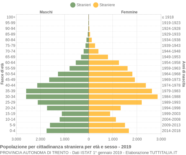 Grafico cittadini stranieri - 2019