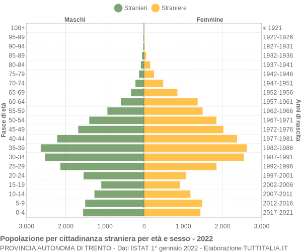 Grafico cittadini stranieri - 2022