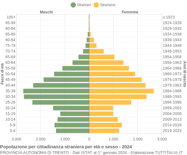 Grafico cittadini stranieri - 2024