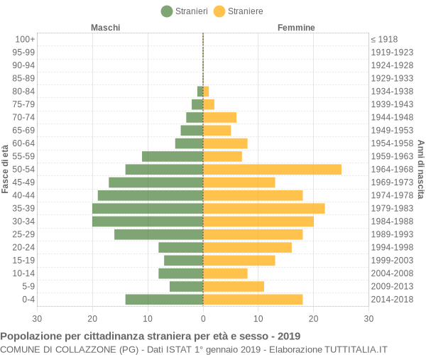 Grafico cittadini stranieri - Collazzone 2019