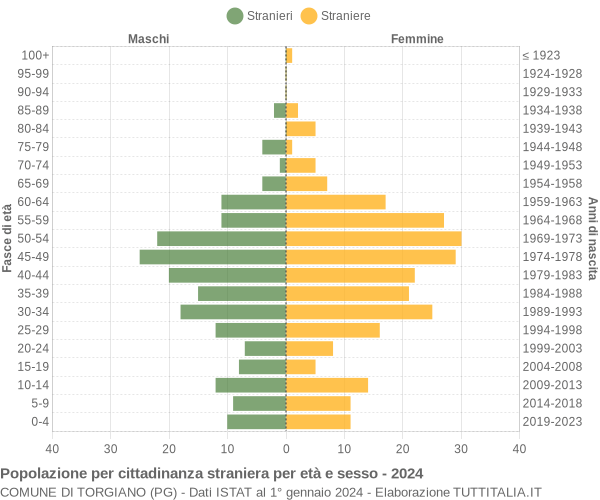 Grafico cittadini stranieri - Torgiano 2024