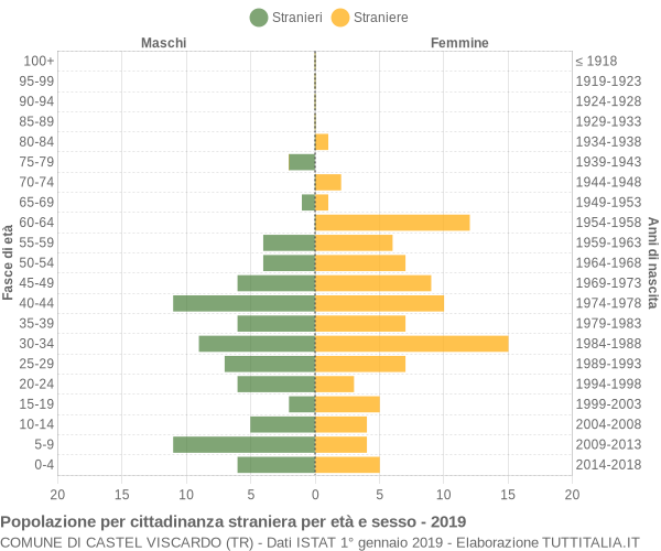 Grafico cittadini stranieri - Castel Viscardo 2019