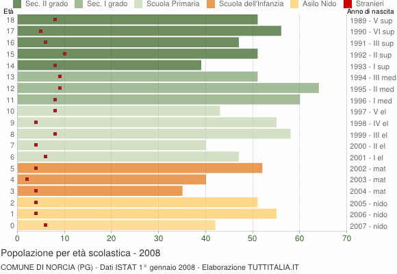 Grafico Popolazione in età scolastica - Norcia 2008