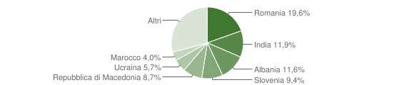 Grafico cittadinanza stranieri - Narni 2010