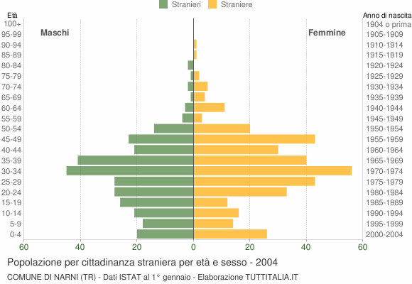 Grafico cittadini stranieri - Narni 2004