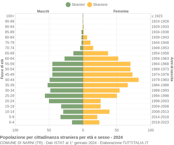 Grafico cittadini stranieri - Narni 2024