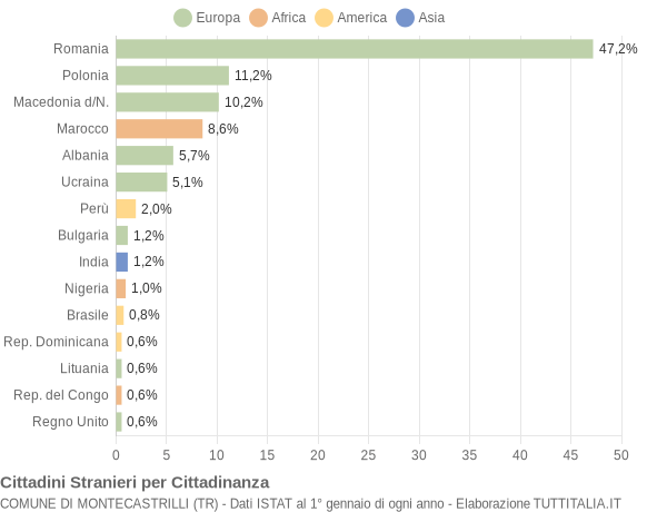 Grafico cittadinanza stranieri - Montecastrilli 2011