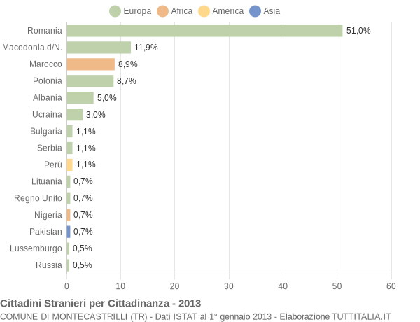 Grafico cittadinanza stranieri - Montecastrilli 2013