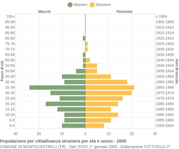 Grafico cittadini stranieri - Montecastrilli 2005