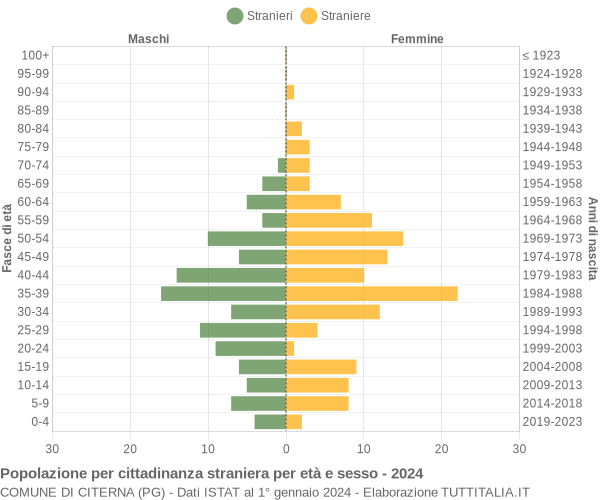 Grafico cittadini stranieri - Citerna 2024