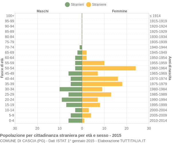 Grafico cittadini stranieri - Cascia 2015