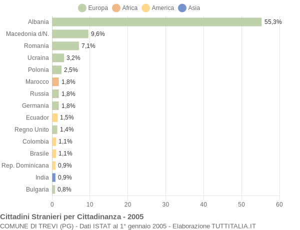Grafico cittadinanza stranieri - Trevi 2005
