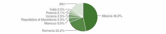 Grafico cittadinanza stranieri - Trevi 2015