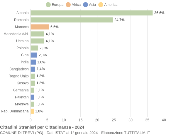 Grafico cittadinanza stranieri - Trevi 2024