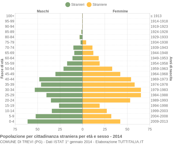 Grafico cittadini stranieri - Trevi 2014