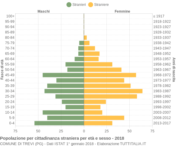 Grafico cittadini stranieri - Trevi 2018