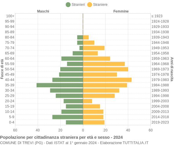 Grafico cittadini stranieri - Trevi 2024