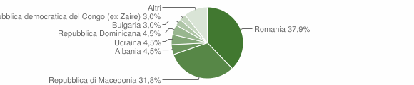 Grafico cittadinanza stranieri - Sellano 2011