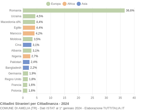 Grafico cittadinanza stranieri - Amelia 2024