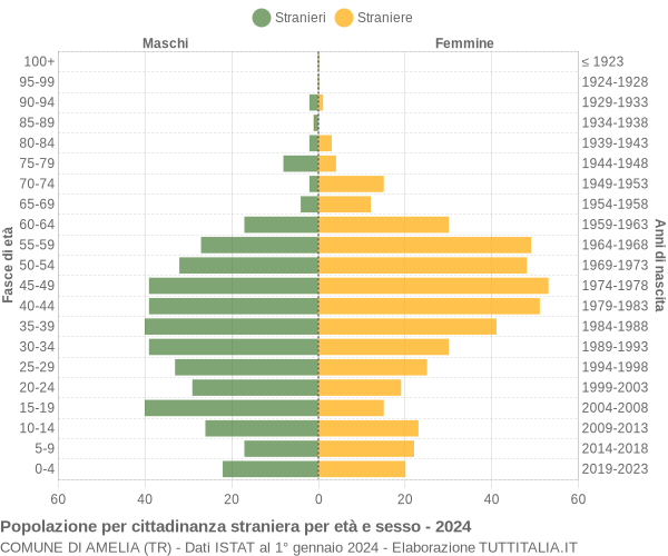 Grafico cittadini stranieri - Amelia 2024