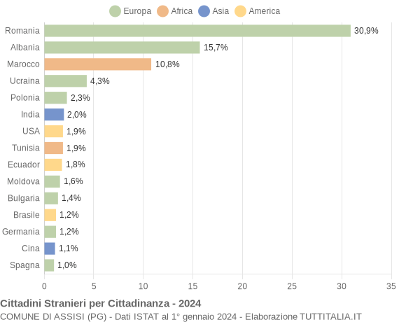 Grafico cittadinanza stranieri - Assisi 2024