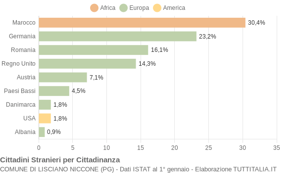 Grafico cittadinanza stranieri - Lisciano Niccone 2013